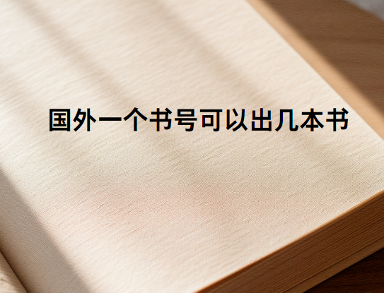 国外一个书号可以出几本书